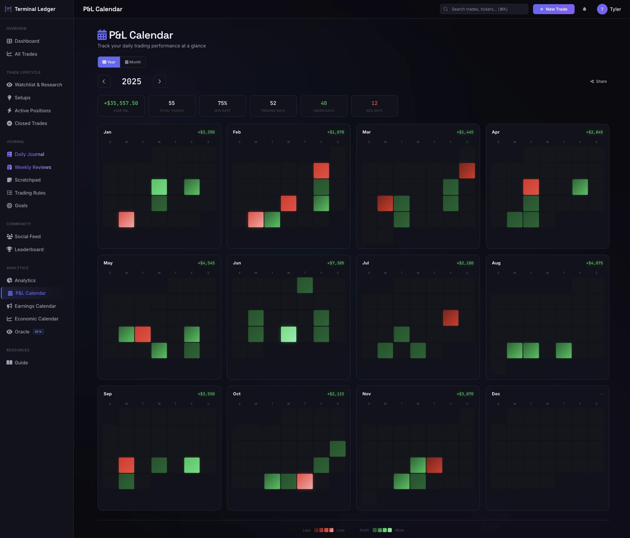 Year in Pixels - Annual P&L View